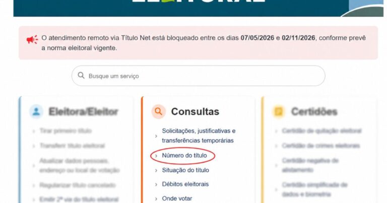 Como descobrir o número do título de eleitor, zona e seção